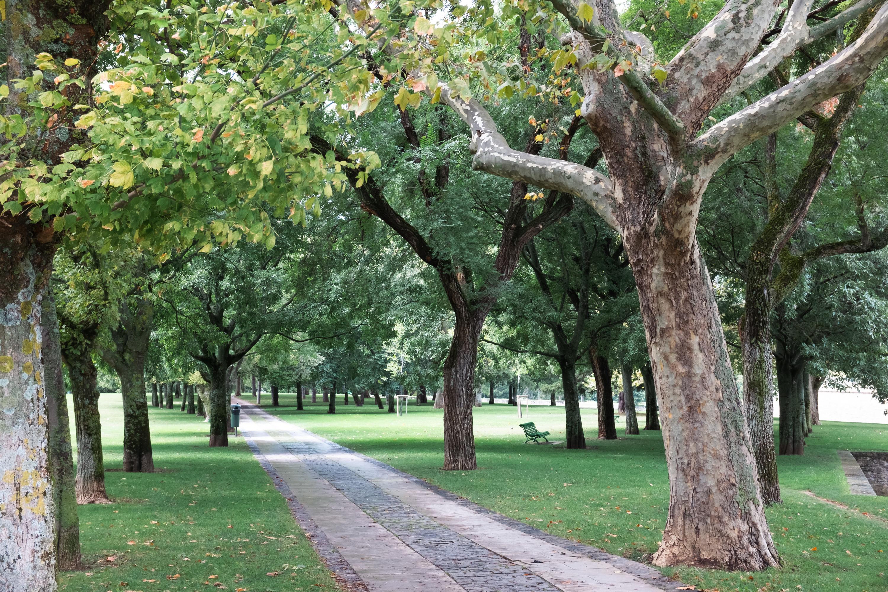Scenic view of Pamplona on the Camino Francés