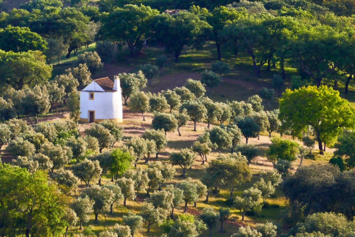 Photo of Évora Monte on the Camino de Santiago