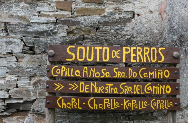 Photo of Perros on the Camino de Santiago